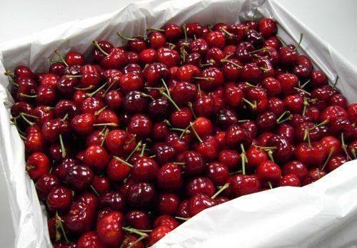 輸送帶廠家:女子5天吃6斤車厘子中毒怎么回事